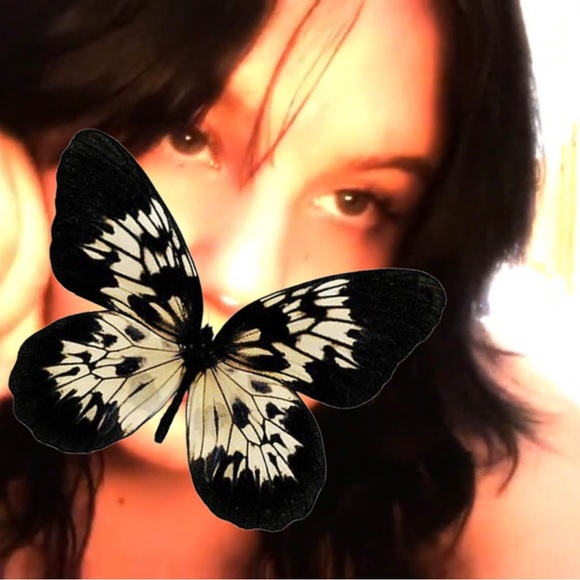 Meet your Posher, Cenzie - Picture 1 of 1